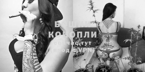 ешки Аркадак