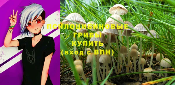 прущий лед Армянск