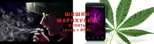 трава Арсеньев