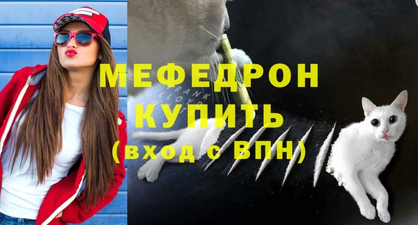 ешки Аркадак