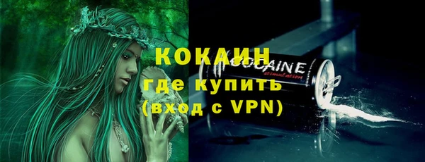 ешки Аркадак