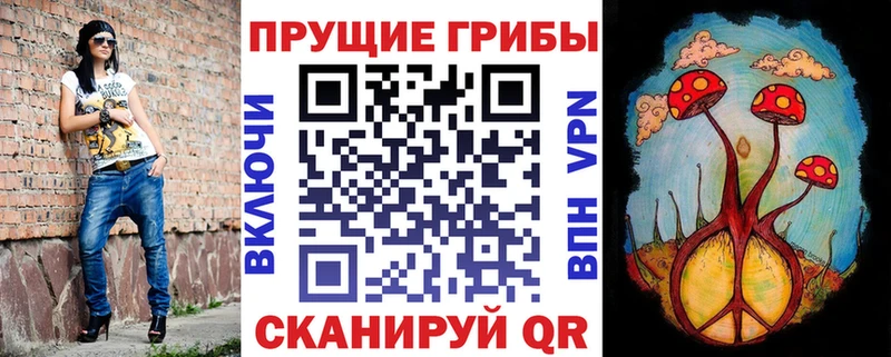 Псилоцибиновые грибы Magic Shrooms  Нефтекумск 